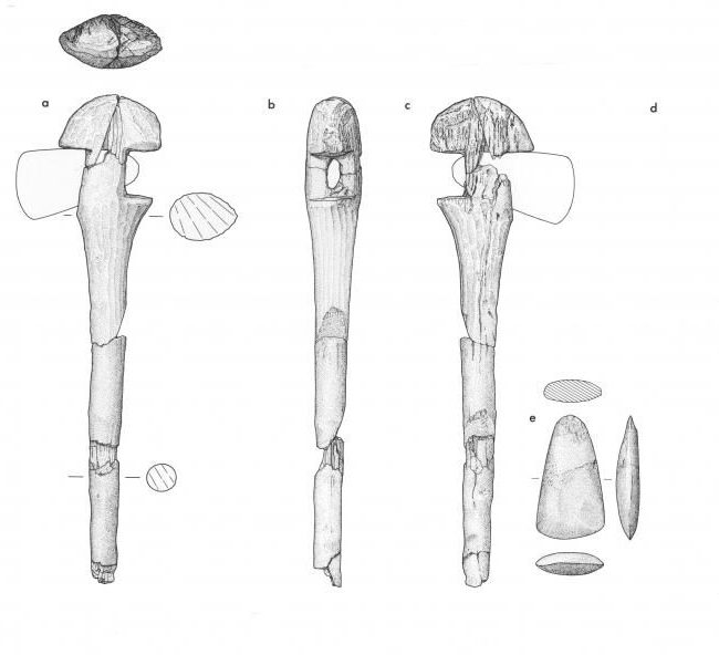 An illustration showing an axe with a fragmentary wooden haft and stone axe head from different angles 